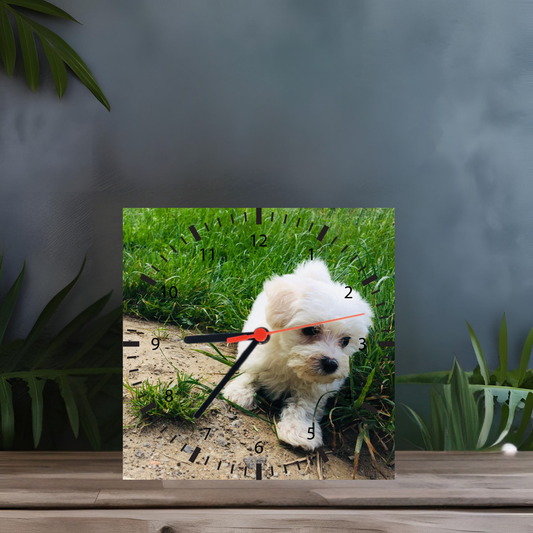 Ceas sticla personalizat patrat 20cm Model Bison - ArtisimoGifts